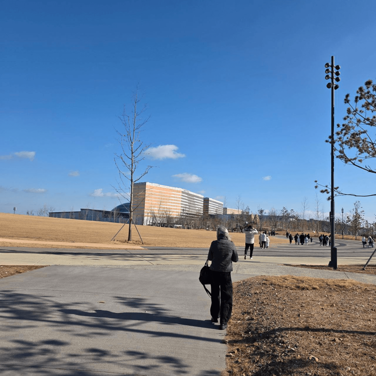 marshallog/20171/6224502416707620038