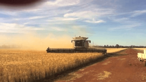 marshallog/21646/6181192911387561534