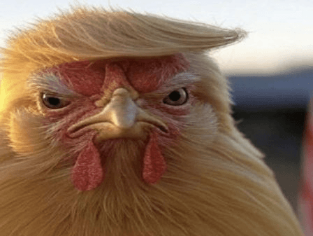 marshallog/21885/6224297675616620176