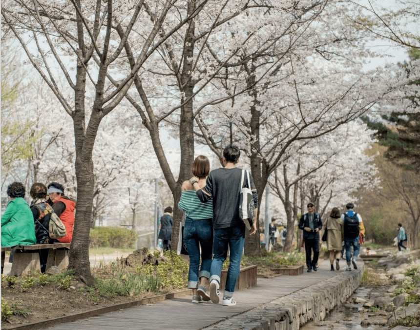 marshallog/22185/6305462799345324172