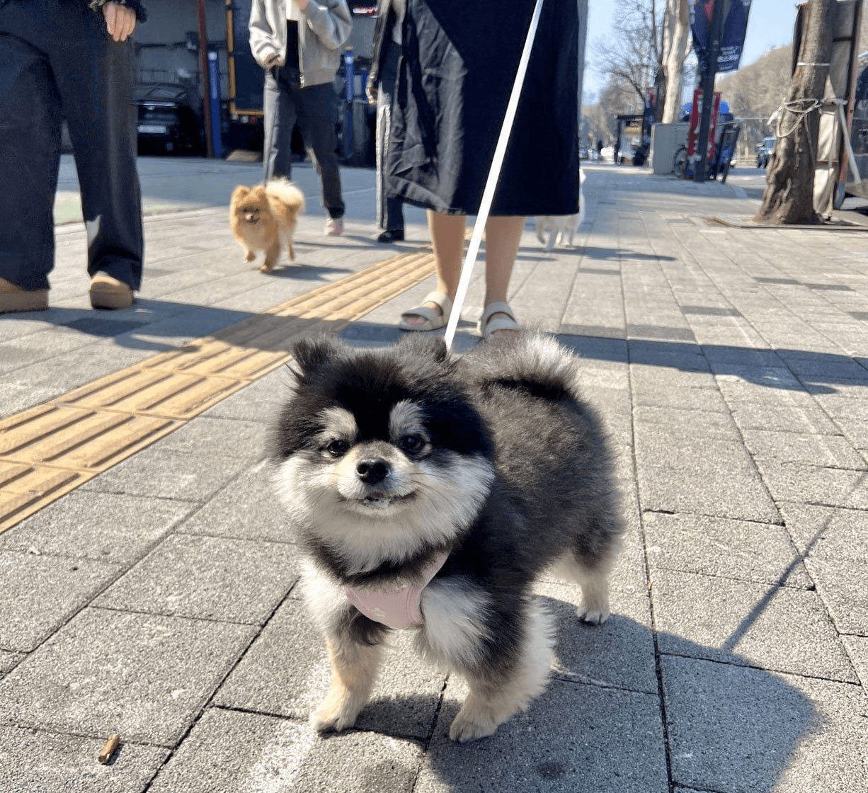 minchoisfuture/27745/6294276973630963813