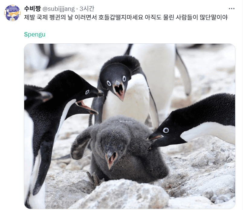 minchoisfuture/29037/6078102525069871838