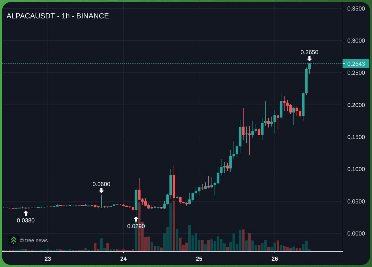 minchoisfuture/29080/6082560954526190113