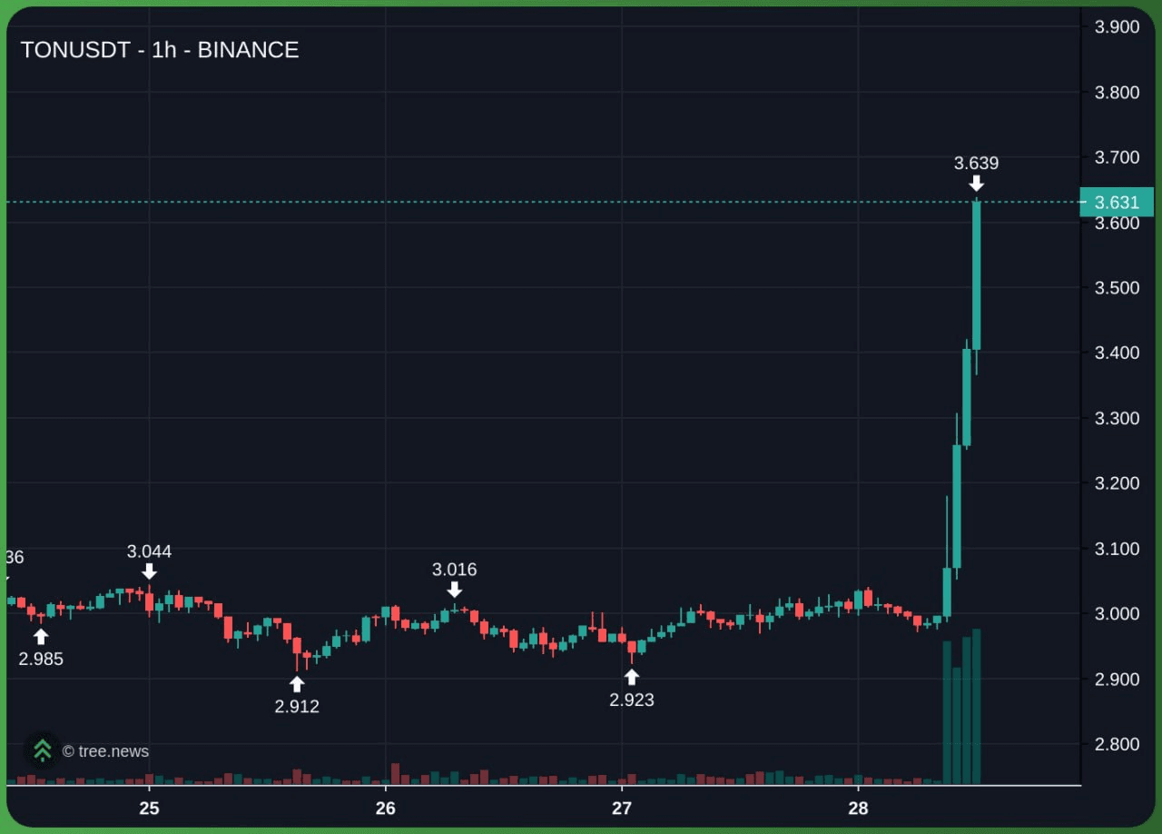 minchoisfuture/30733/6177202599003013997