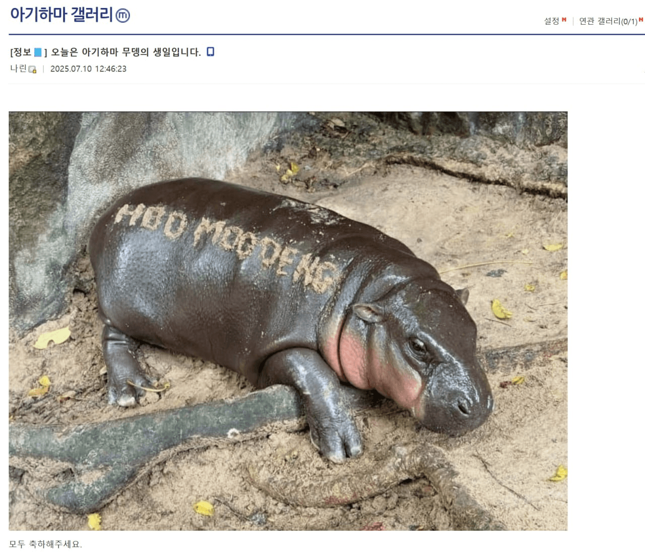minchoisfuture/33088/6305175925590967679