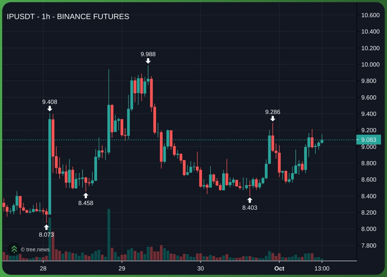 minchoisfuture/38503/6262552279303439309