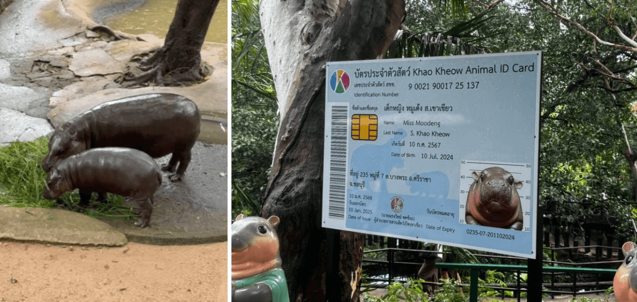 minchoisfuture/40249/6071008467461278492