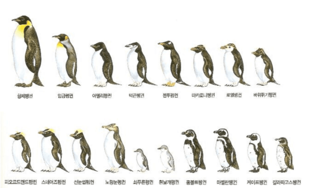 minchoisfuture/45344/6149755932624228007