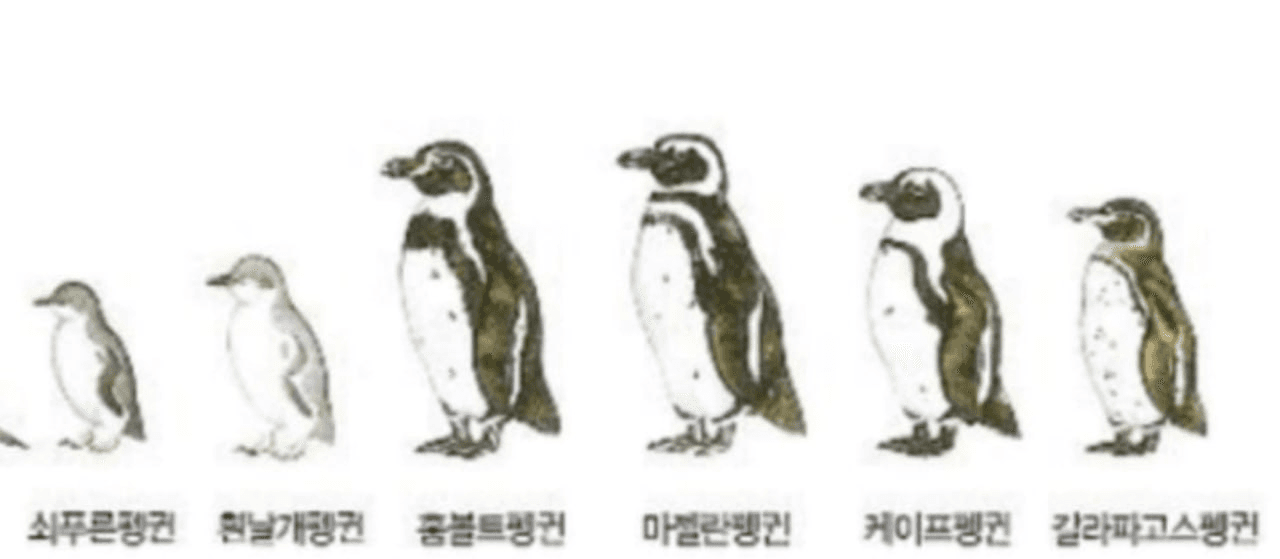 minchoisfuture/45345/6149755932624228008