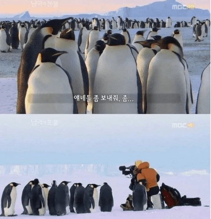 minchoisfuture/47208/6294129480162808422