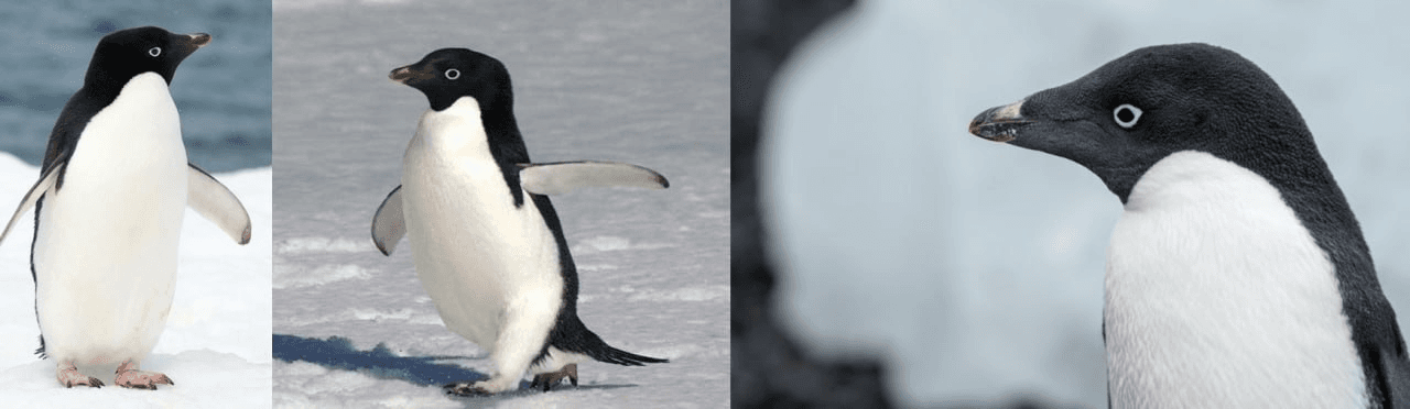 minchoisfuture/47215/6294129480162808460