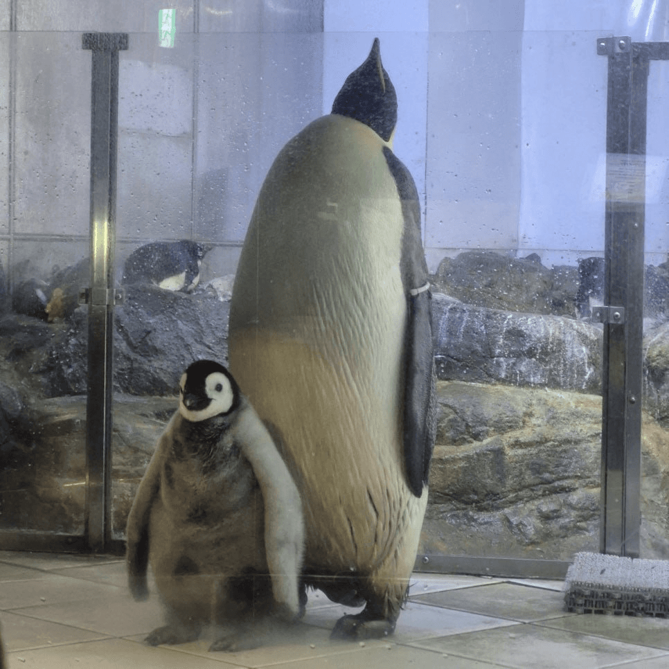 minchoisfuture/47217/6294129480162808465