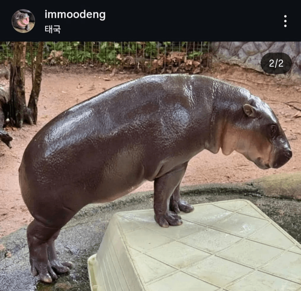 minchoisfuture/49172/6147882875911606344