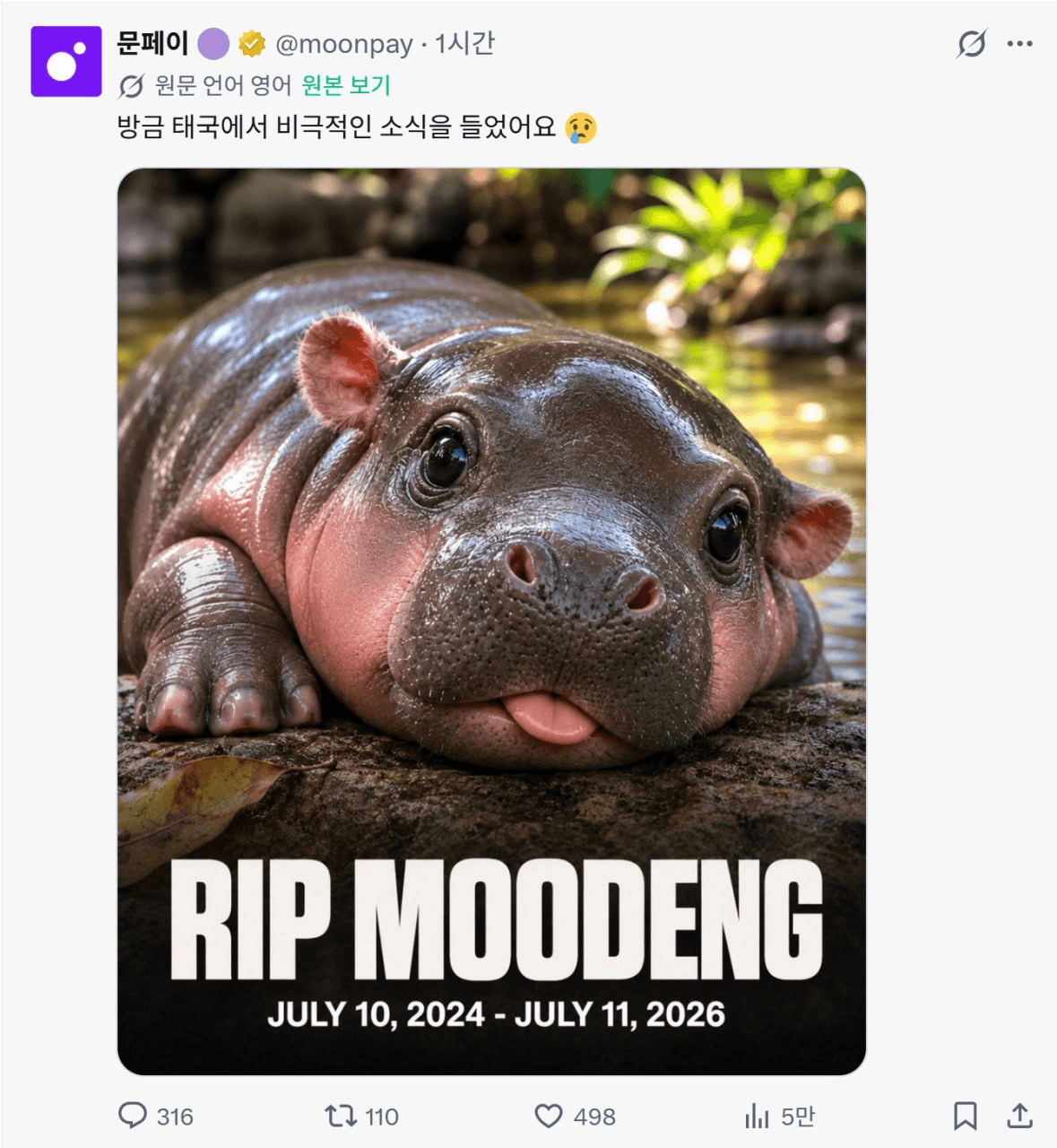 minchoisfuture/50639/6237820917018988738