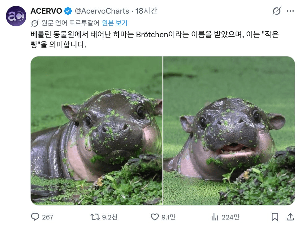 minchoisfuture/51632/6303175935418635849