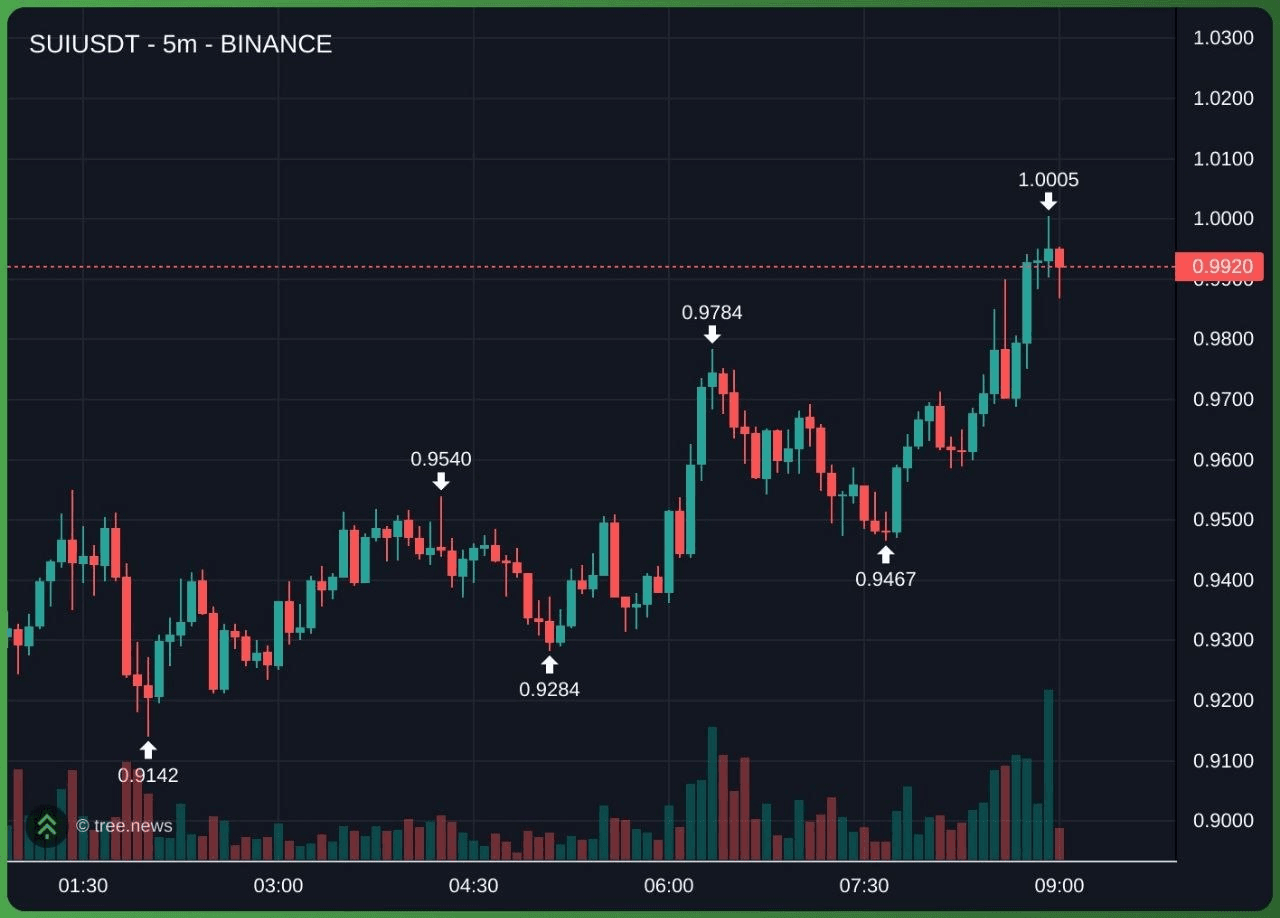 $SUI 1불터치