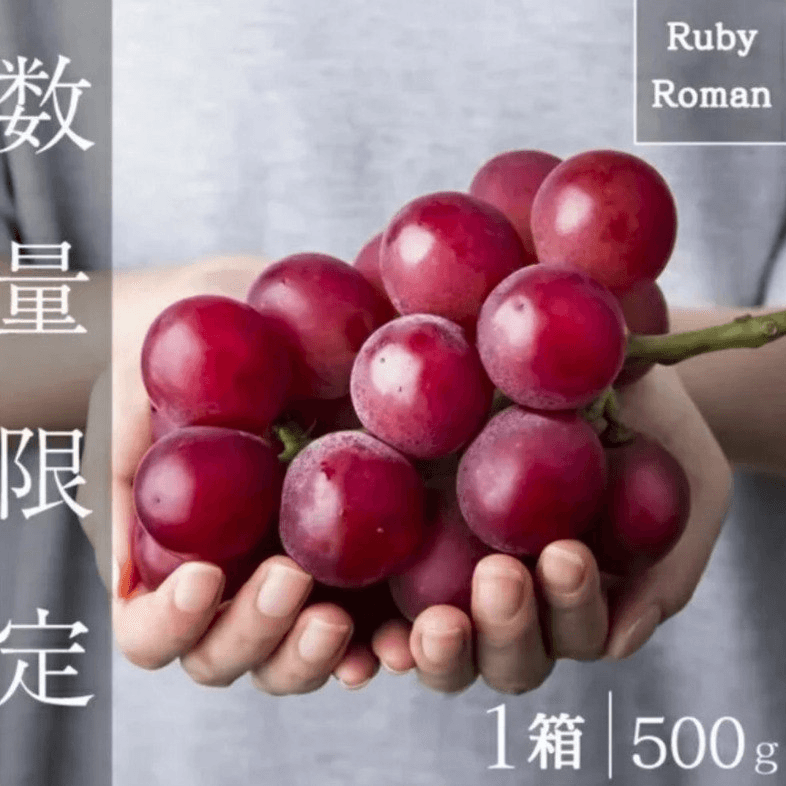 moneystation_best/11924/6022643819989809866