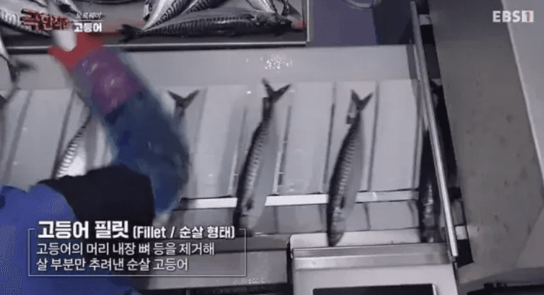 moneystation_best/11949/5766184566765849597