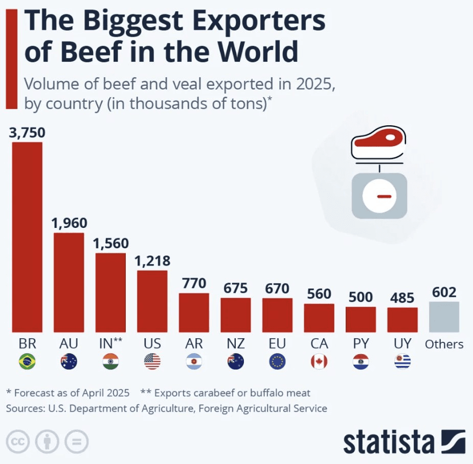 moneystation_best/11977/5772703369343470496