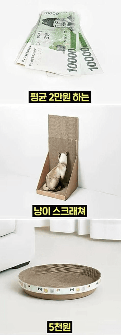 moneystation_best/12121/5813310794773498840