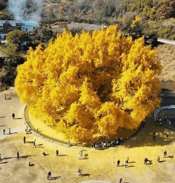 moneystation_best/12264/5829142701356551178