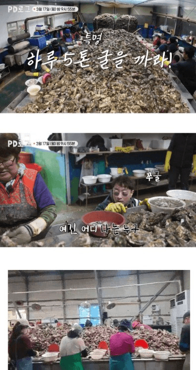 moneystation_best/13224/5788372500960972013