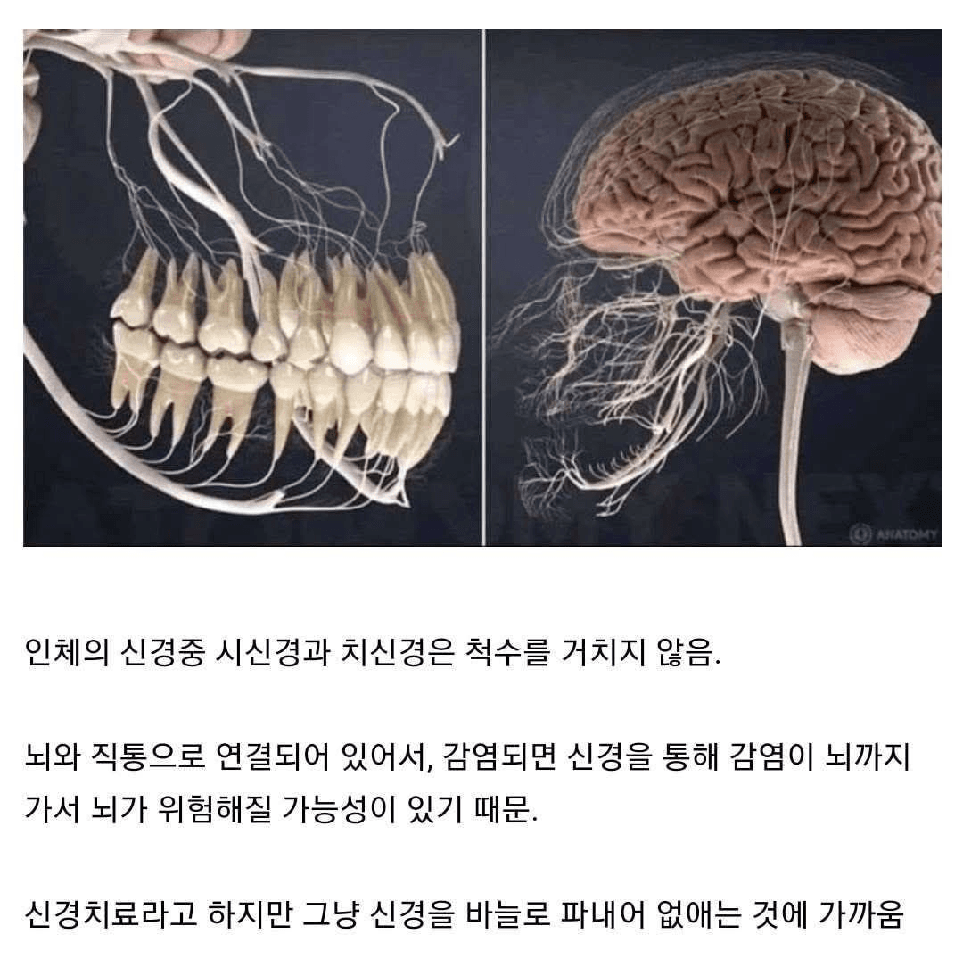 moneystation_best/13272/5815778485413285043