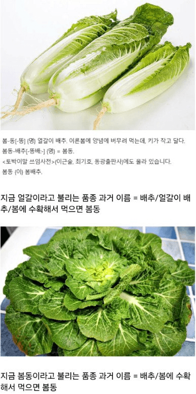 moneystation_best/13562/5901073538024672361