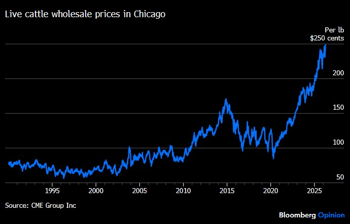moneystation_best/13752/5962179339119955312