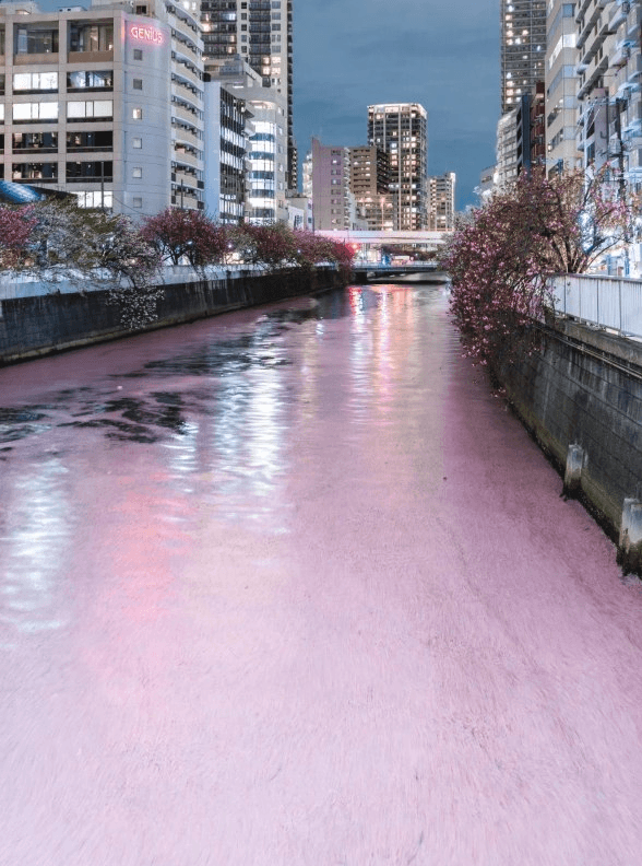 moneystation_best/13756/5964044832395168997