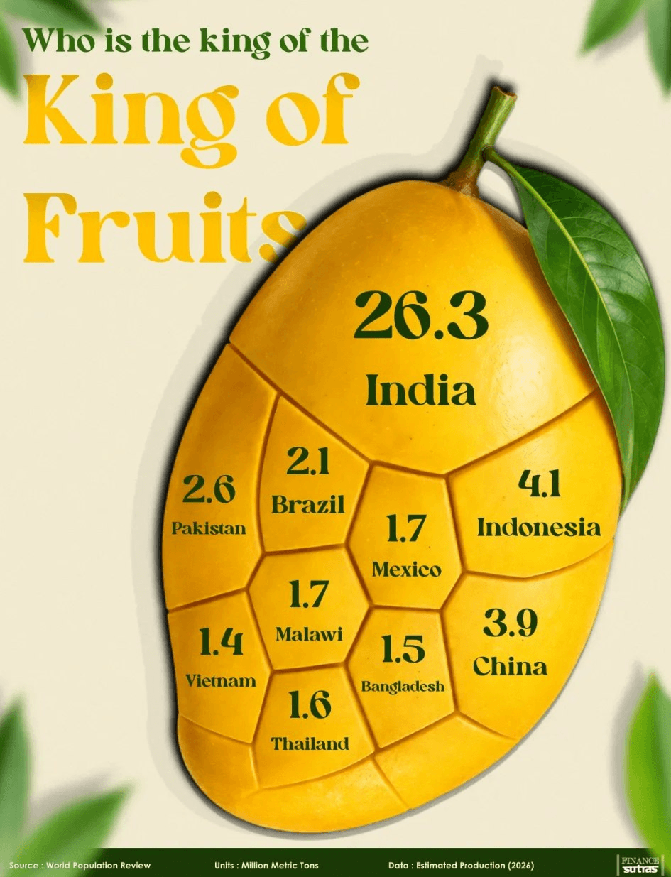 moneystation_best/13815/5977656945260825793