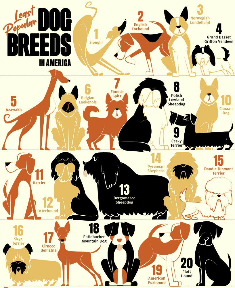 moneystation_best/9003/5887477187685234659