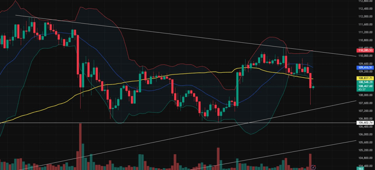 moon252423/21162/6172563467387652124