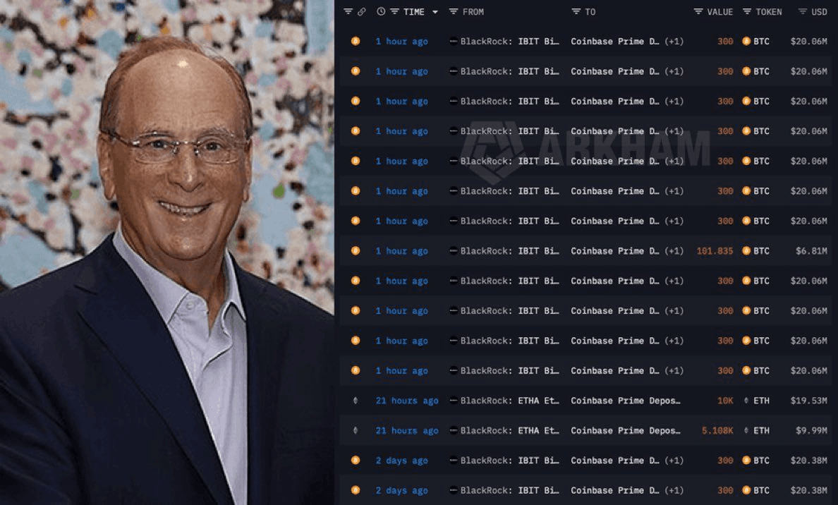 moon252423/22564/6088882639583514630