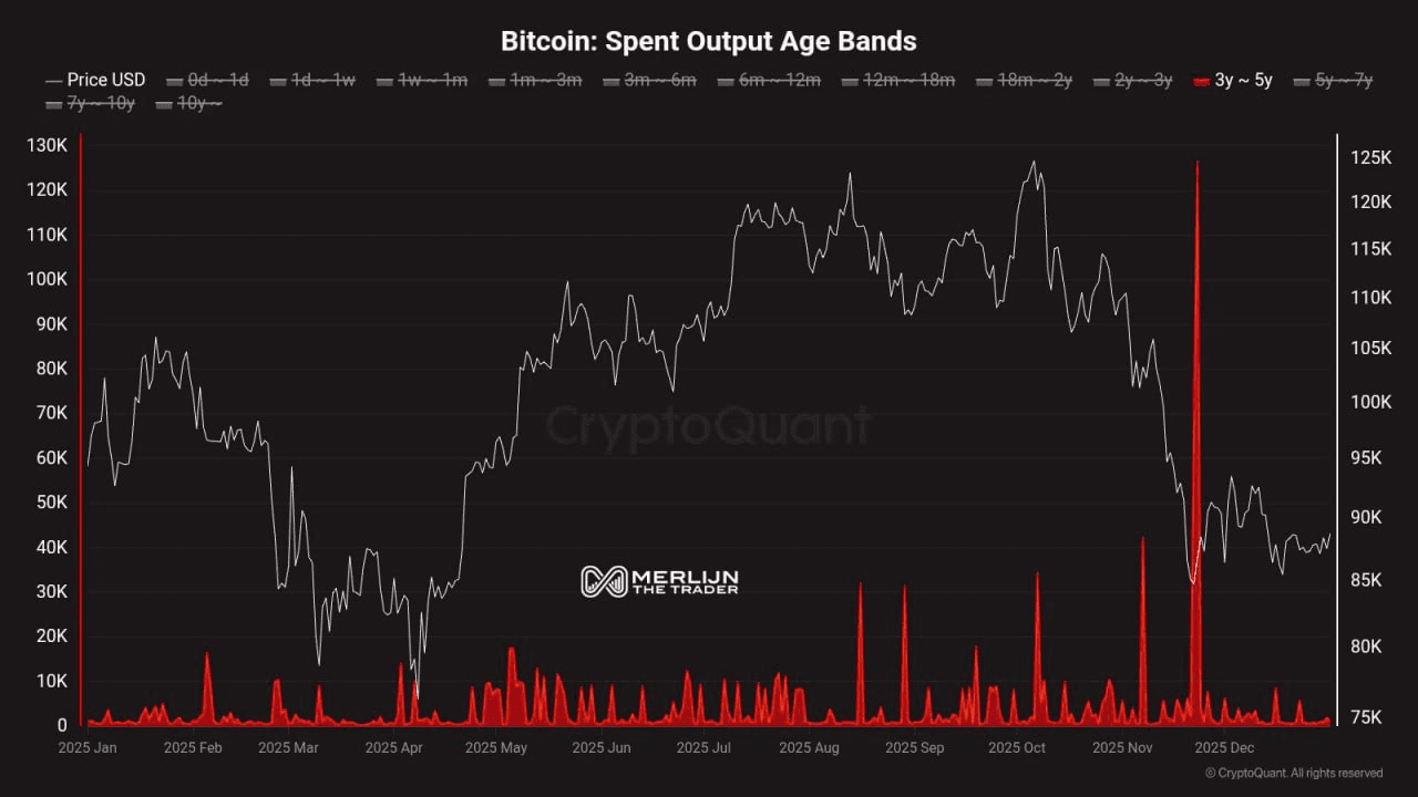 moon252423/22639/6105051305962311237