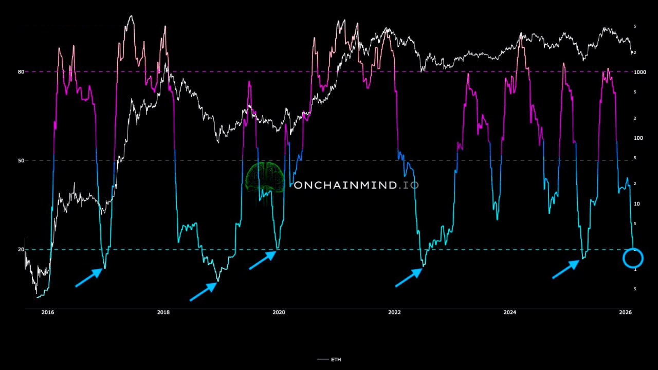 moon252423/22652/6107033613758041609