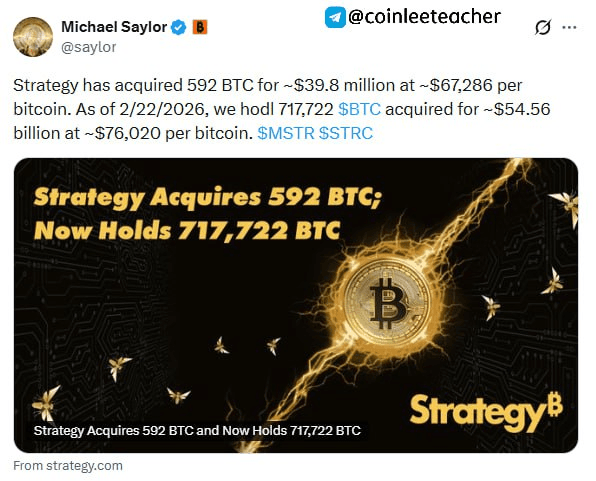 moon252423/22728/6116334902308442237