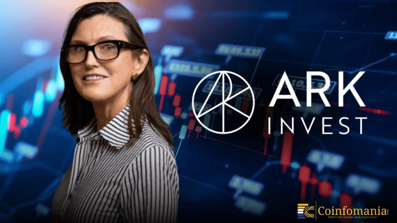 moon252423/22919/6145484295590579558