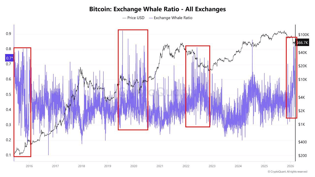 moon252423/22959/6156438455060205440