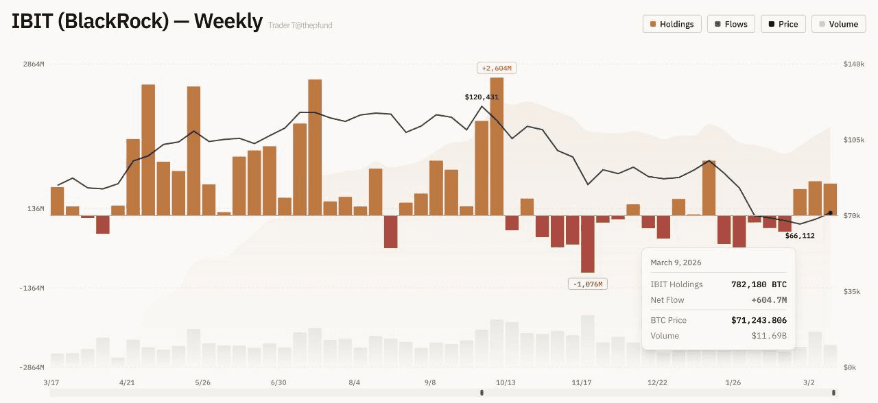 moon252423/23039/6172662174329802125