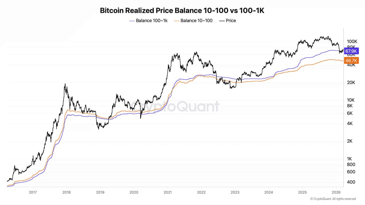 moon252423/23160/6199321517372411379