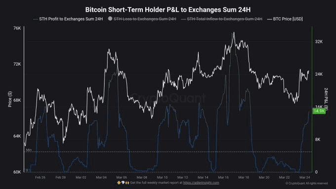 moon252423/23183/6201491678447735593