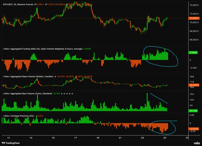 moon252423/23199/6203743478261420216