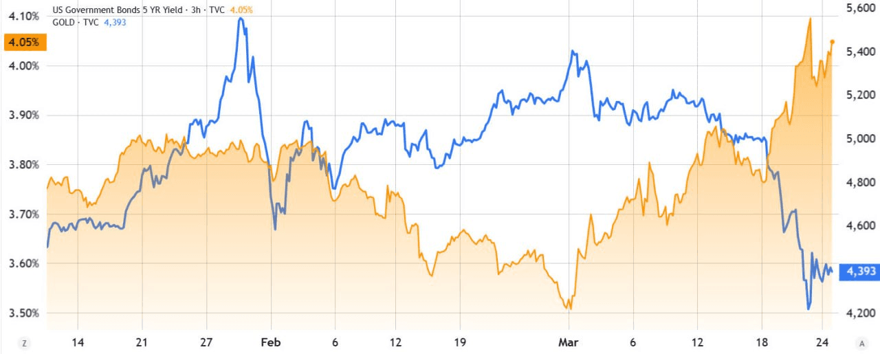 moon252423/23200/6203743478261420217