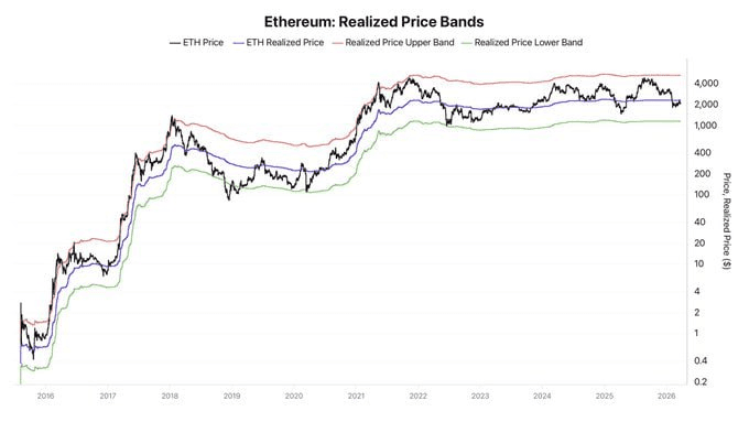 moon252423/23202/6203743478261420222