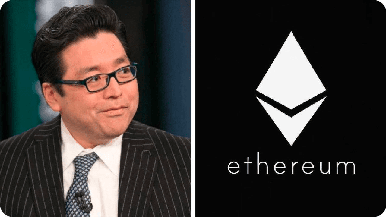 moon252423/23203/6206157069493145417