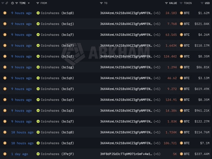 moon252423/23298/6224482741462437560