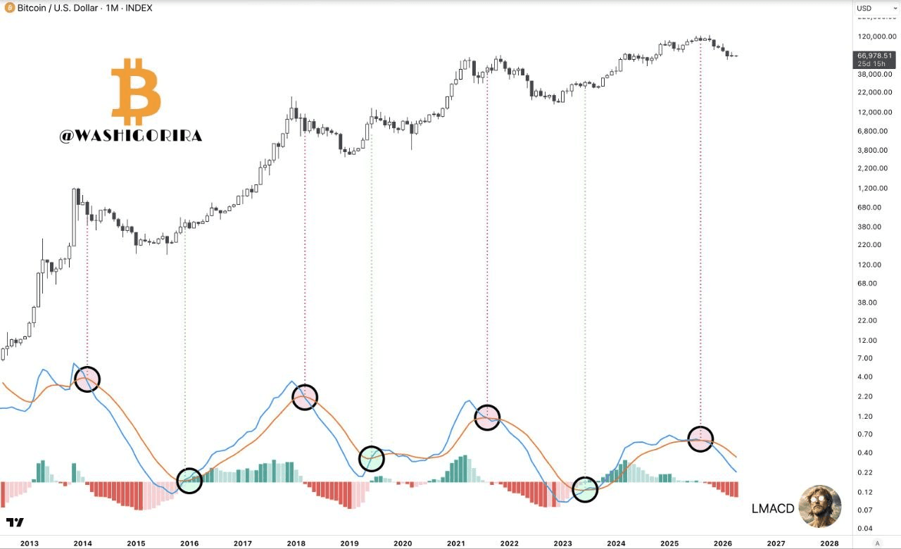 moon252423/23356/6237731225216946079
