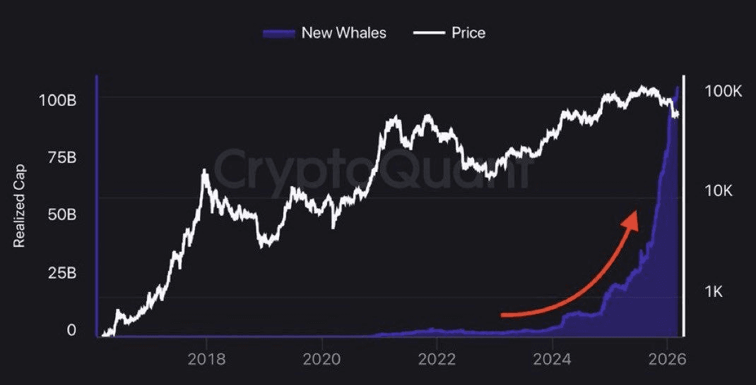 moon252423/23455/6257882739323375402