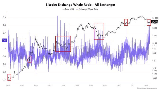 moon252423/23474/6262668574136668334